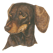 (image for) Dachshund Notepad(B)